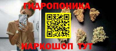 гидра Конаково