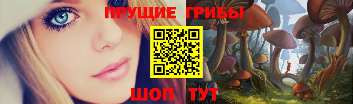 Чехов  Галлюциногенные грибы мухоморы  Вход с VPN  Псилоцибиновые грибы MAGIC MUSHROOMS 